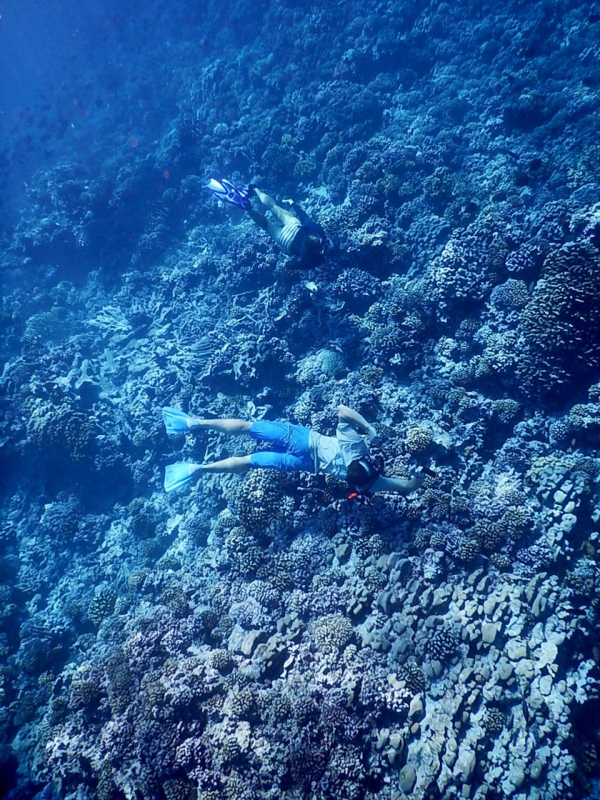 Deep down in the Fakarava south pass