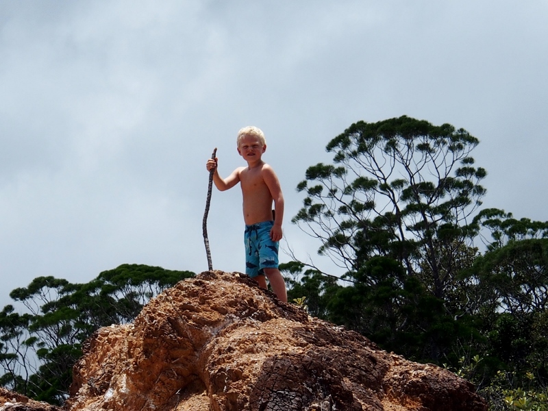 Lukie perched atop dirt mount rendered unvegetated by fire 20 years ago