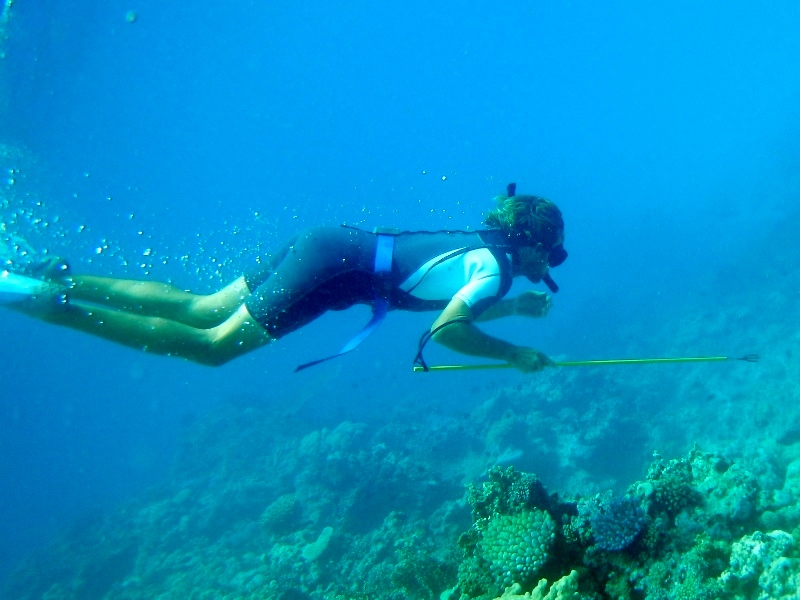 David with his shark-stick