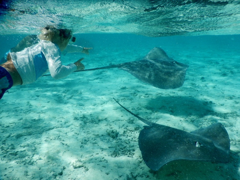 Lukie with a stingray