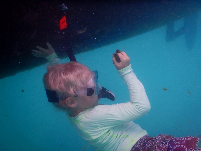 Lukie under the hull - diving is more fun than cleaning, really