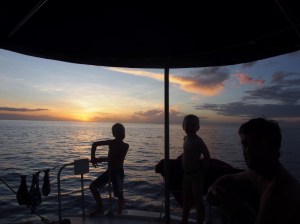 Peace before the flying ant storm