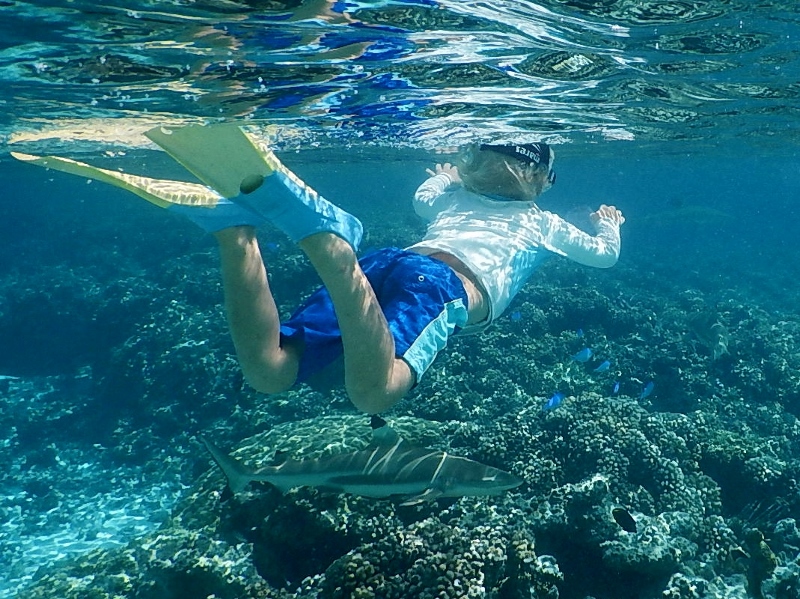 Lukie enjoying a black tip