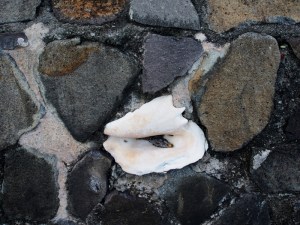 Conch shells inset into the stone wall lining the bay walkway