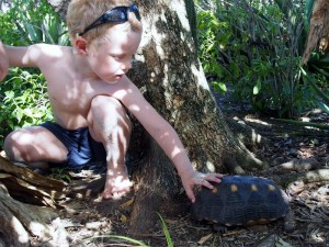 Lukie greeting a tortoise