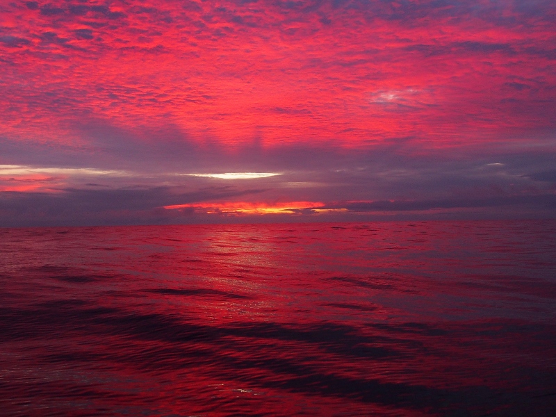 Sunrise over oily waters