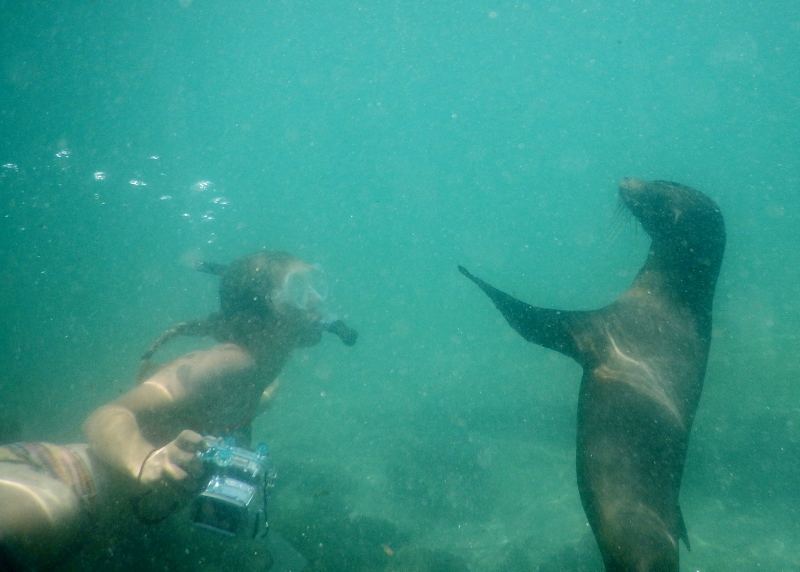 Sarah and the sealion