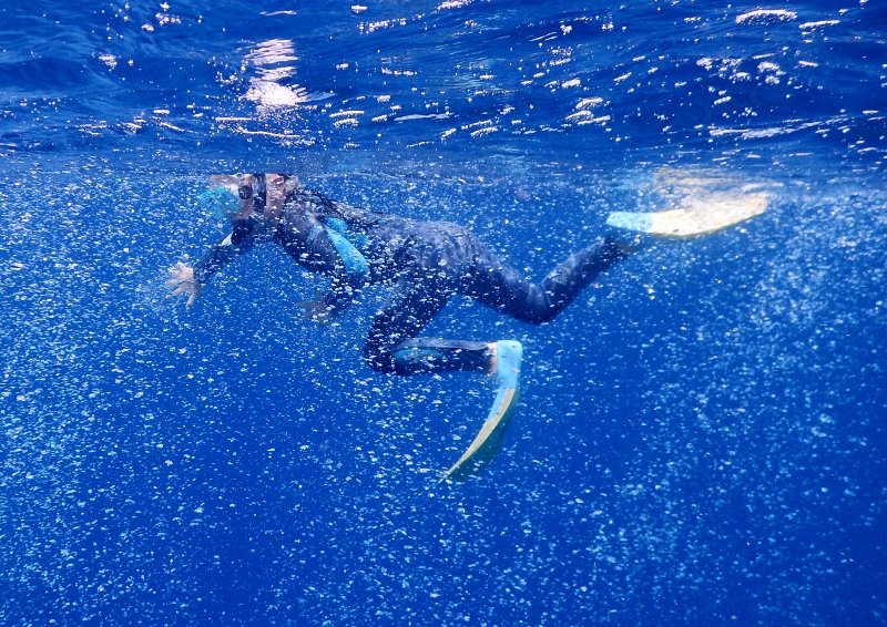 Lukie immersed in tiny bubbles