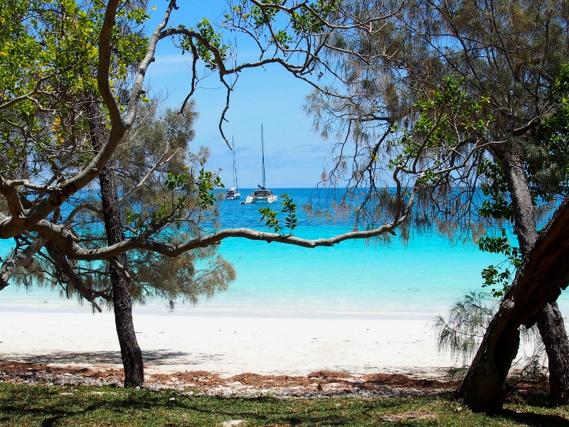 Bob in Kuto Bay, Kunie